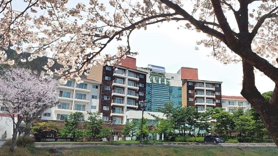 Muju Ilsung Condo Esterno foto